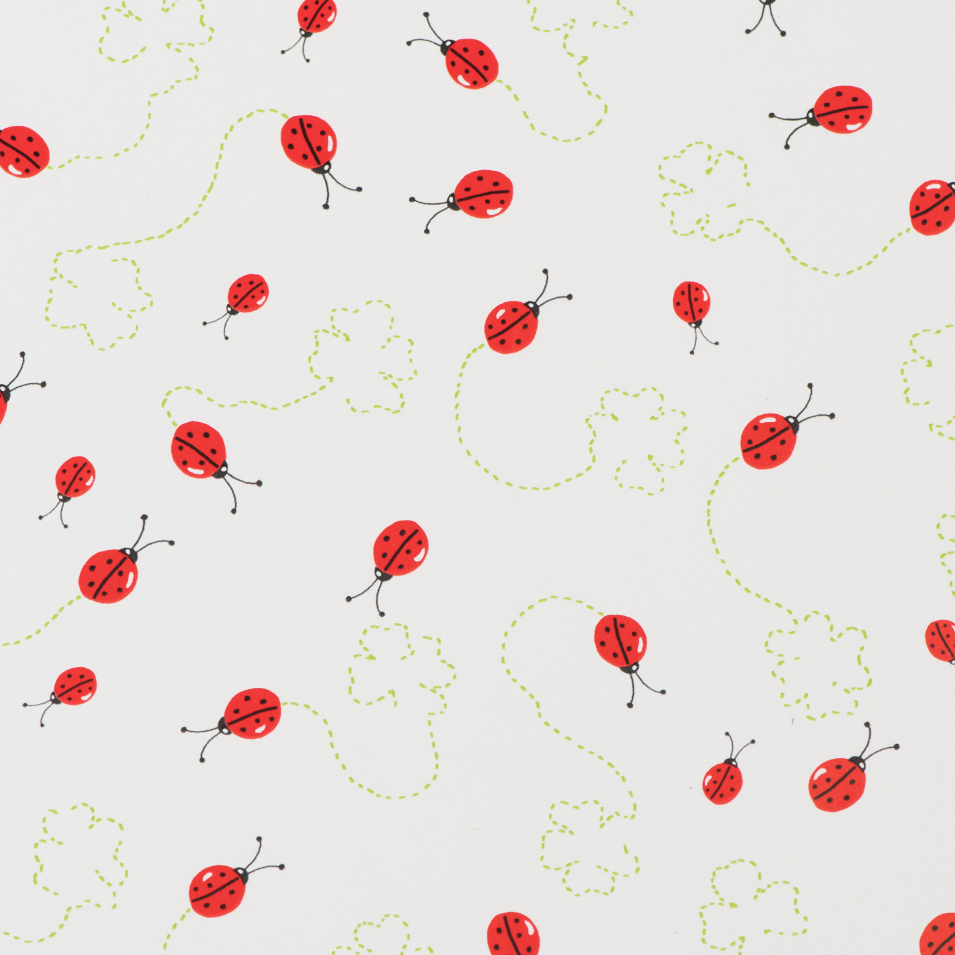 Geschenkpapier Marienkäfer 50 cm x 50 m für Großhändler, niedliches Marienkäfer-Motiv