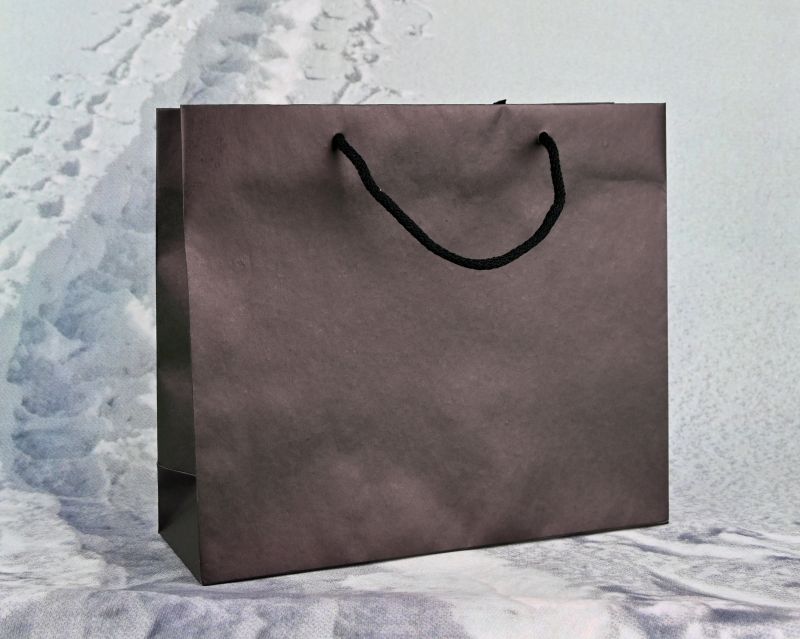 Schwarze Papiertragetasche ECO/BLACK einzelne Tasche mit Baumwollkordel, 170 g/m²
