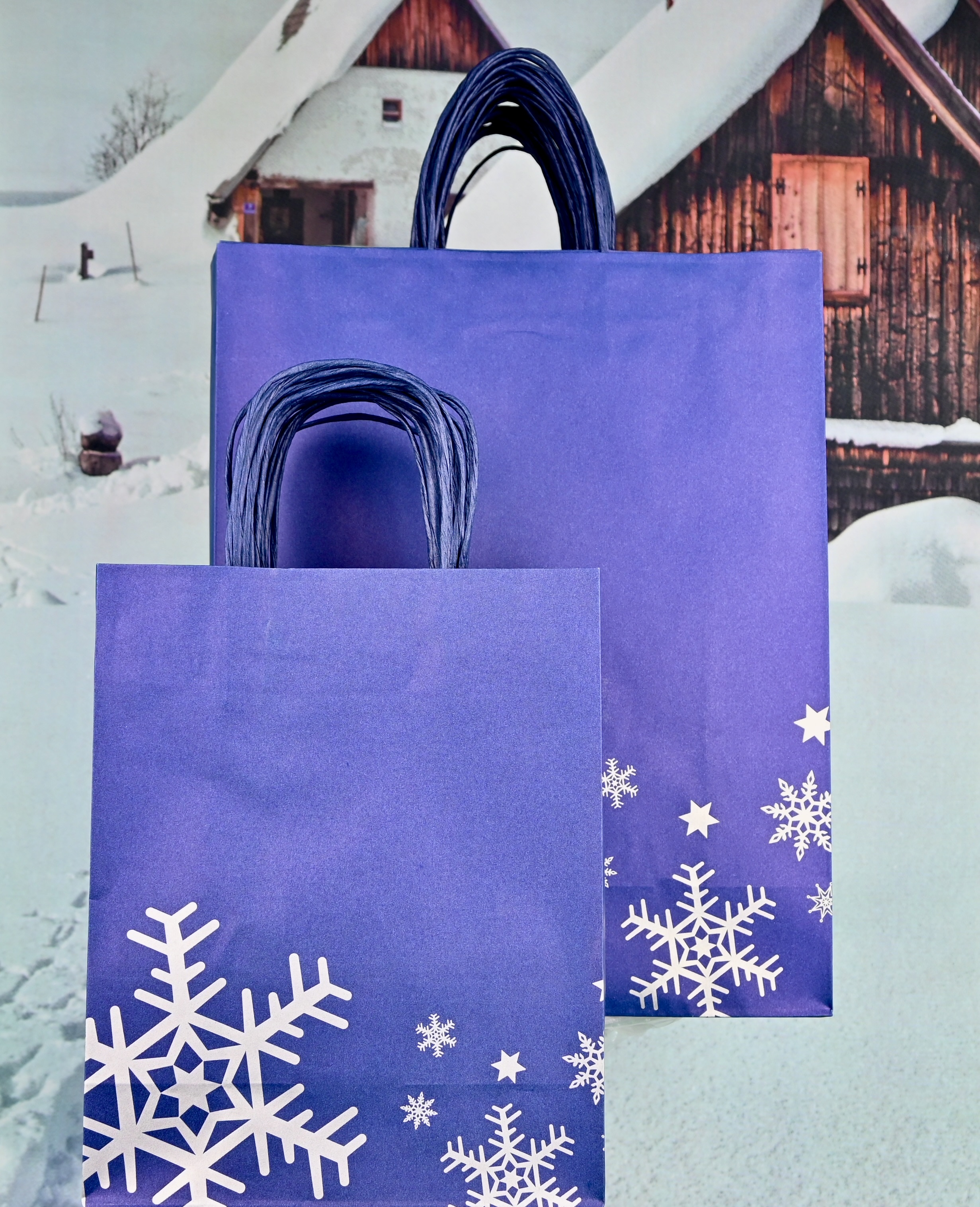 Papiertragetasche 25 Stück mit Papierkordel 22 cm, Weihnachtsmotiv Papiertragetasche 25 Stück mit Papierkordel 22 cm, Weihnachtsmotiv