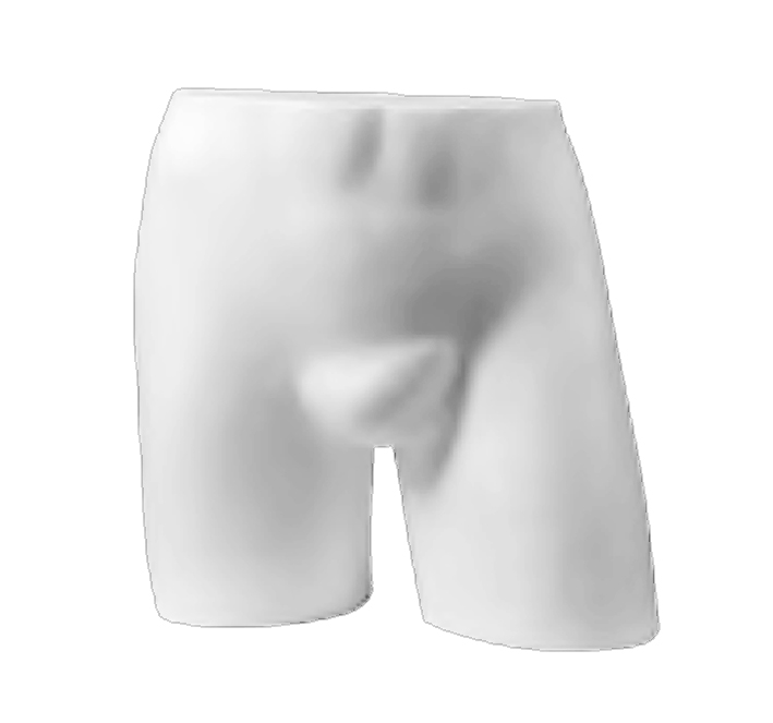 Herren-Huefttorso Herrenhüfttorso weiß