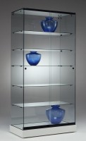 Ganzglasvitrine 900x460x1820mm