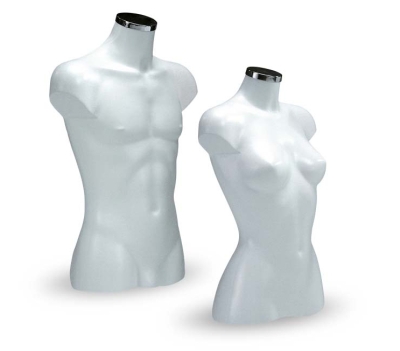 Damen-Torso Höhe 62cm 