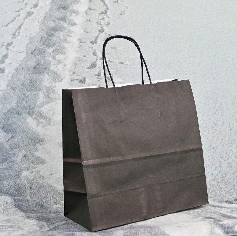 Papiertragetasche Night mit Papierkordel, stabil, wiederverwendbar und ideal für Geschenke, Events und Einzelhandel