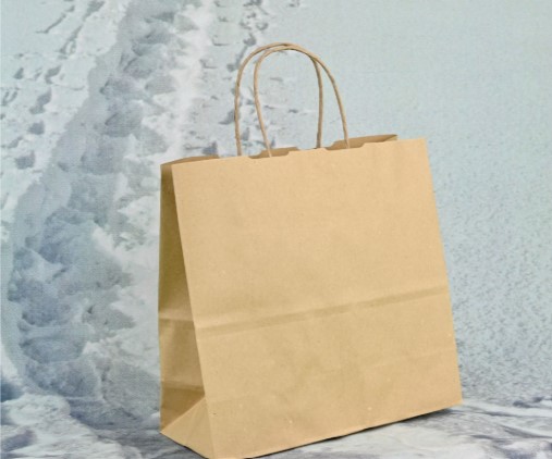 Papiertragetaschen Natural in Kraftbraun mit Papierkordel, alle Größen: 15x8x20 bis 54x14x50 cm, 25 Stück pro Packung