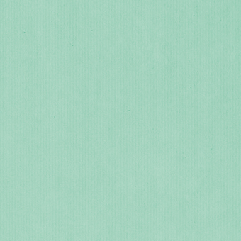 Geschenkpapier Mint 50 cm x 50 m für Großhändler, schlichtes mintfarbenes Motiv
