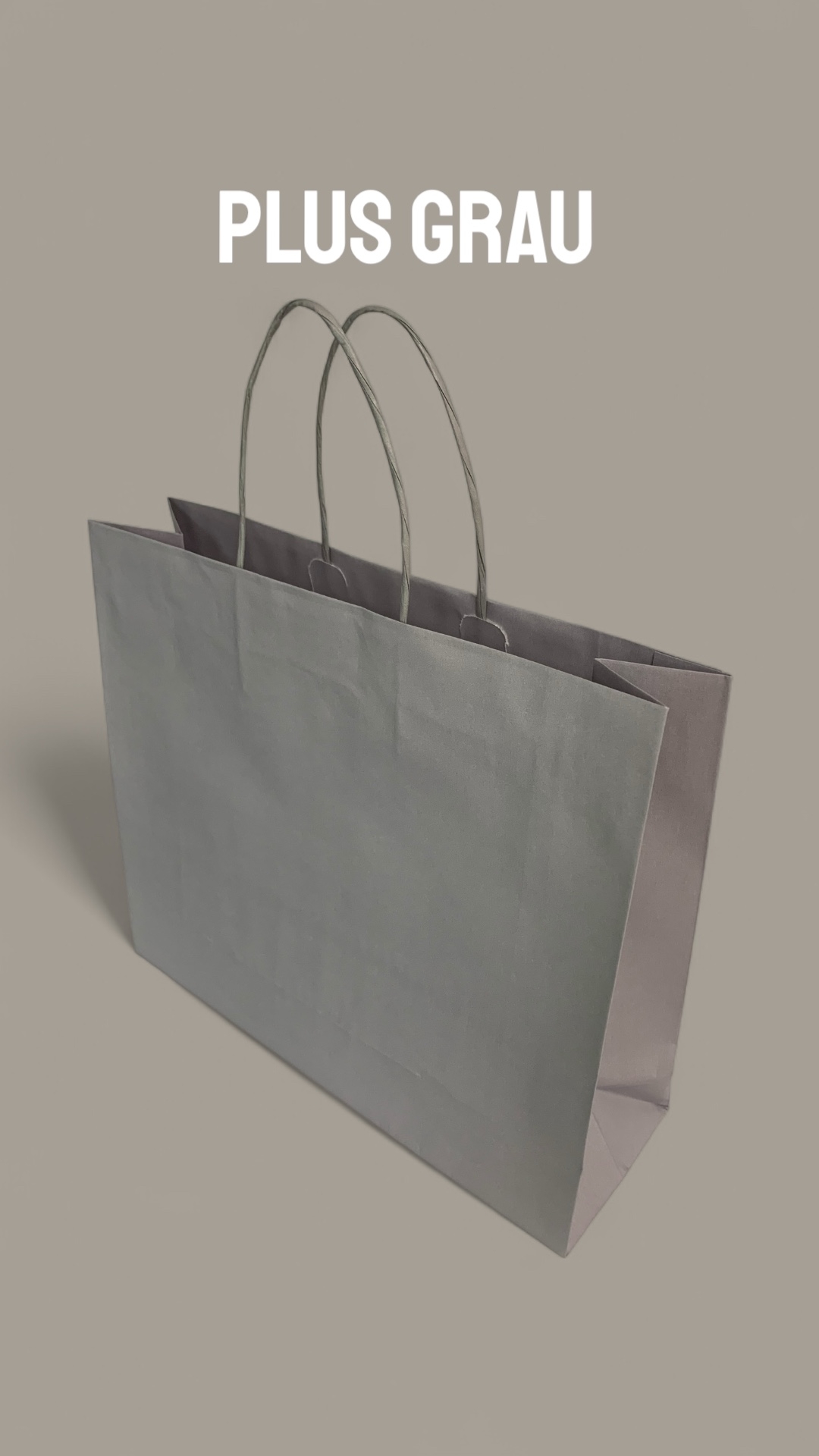 Papiertragetasche mit Umschlag und Kordel,  25 Stück Papiertragetasche mit Umschlag und Kordel,  25 Stück